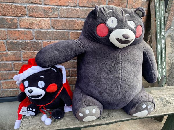 日本・熊本県「熊本trip ✈︎」の写真：初の熊本へ！