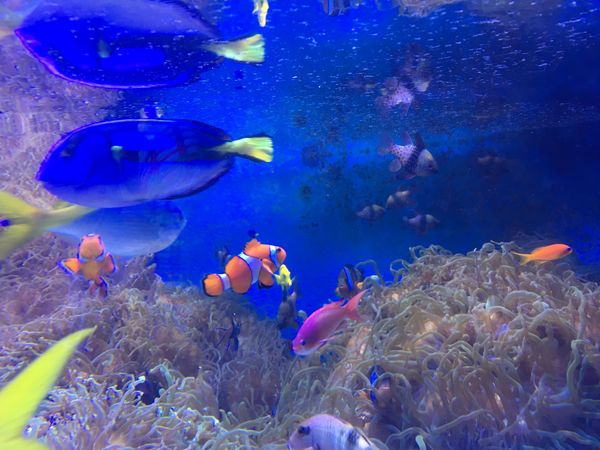日本・三重県「三重日帰り」の写真