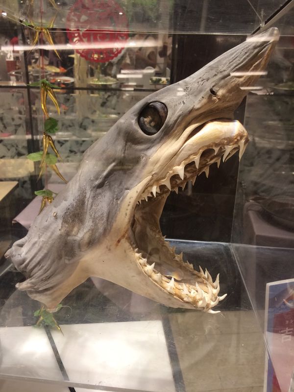 日本・大阪府「職員旅行」の写真