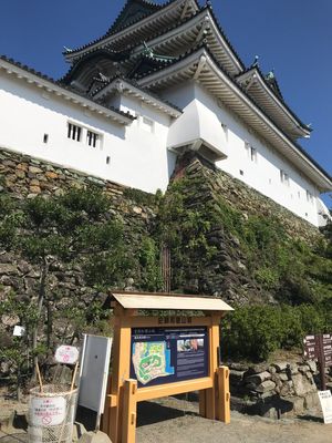 台風19号接近中
天気も良く和歌山城から淡路島も見えました😊
和歌山ラーメ...