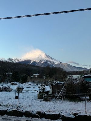 初めて忍野八海へ行きました。
池の水が透き通ってて綺麗でした。

金運の神...