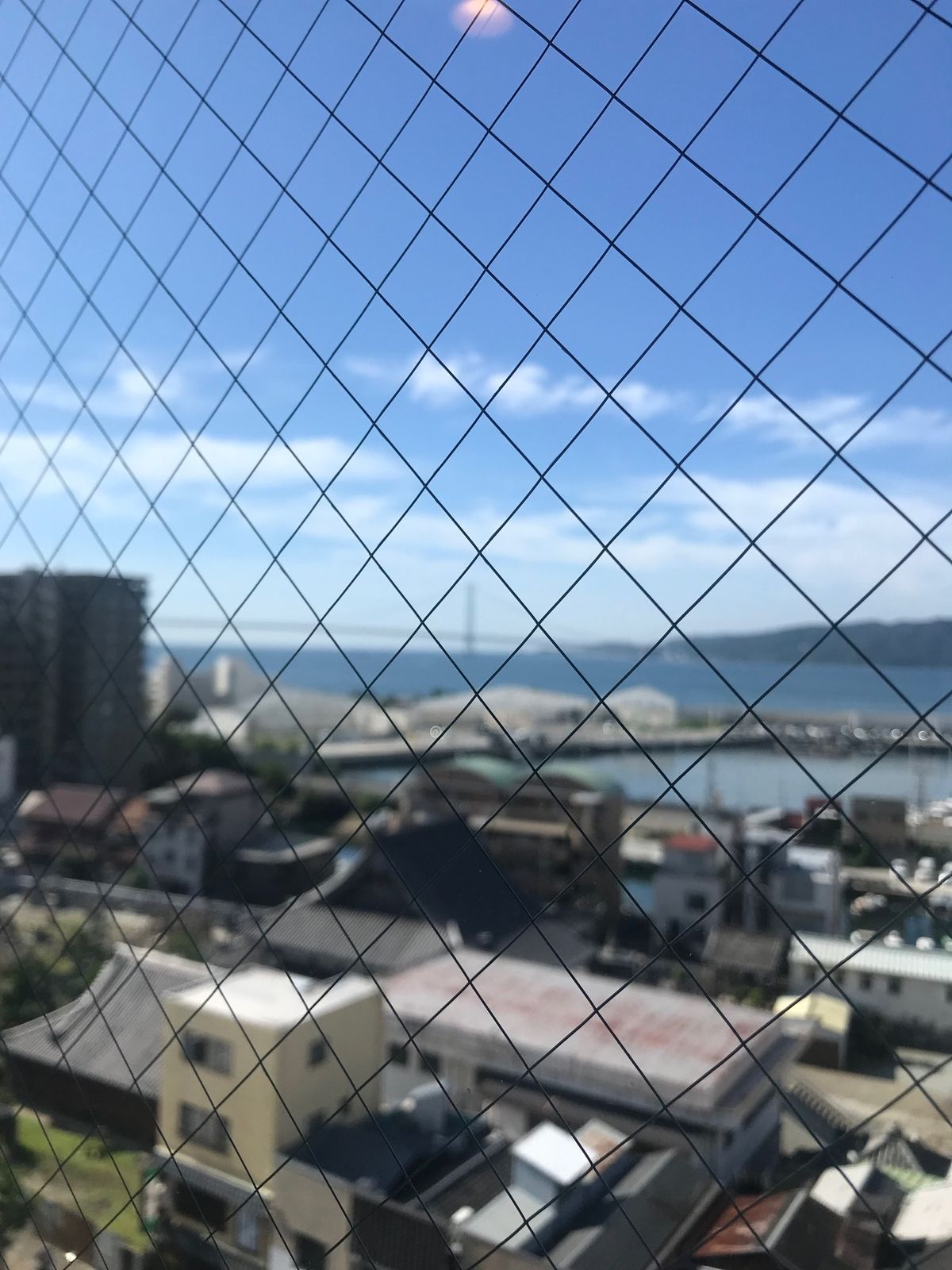 明石の海の幸
兵庫フェスティバル
優勝しました