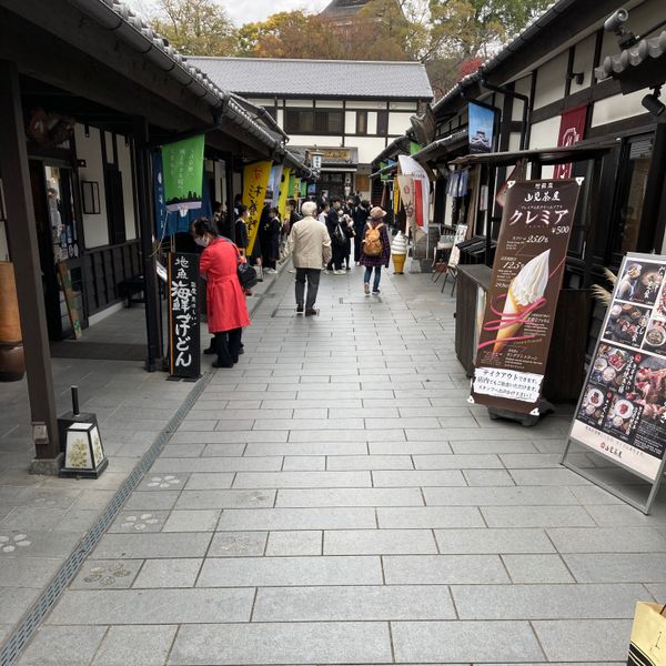日本・熊本県「熊本市観光」の写真