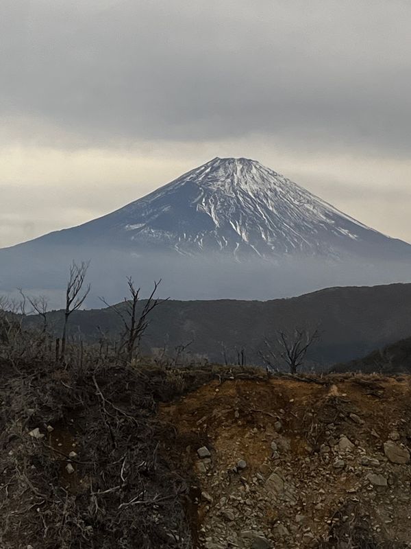 日本・箱根「箱根旅行」の写真