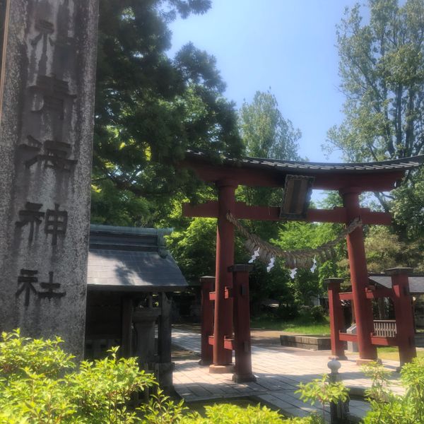 日本・新潟県「加茂川鯉のぼり」の写真