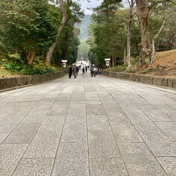 日本・島根県「松江市観光〜出雲大社参拝」の写真