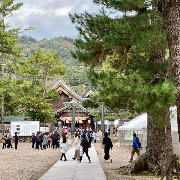 日本・島根県「松江市観光〜出雲大社参拝」の写真