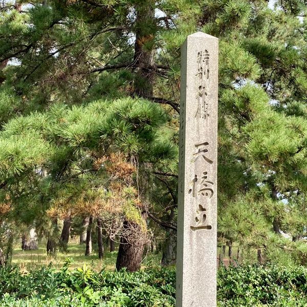日本・京都府「天橋立散策」の写真
