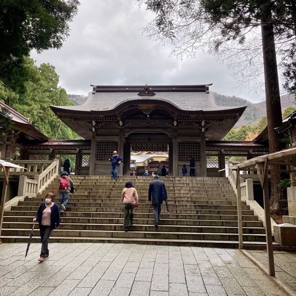 日本・新潟県「弥彦神社参詣」の写真