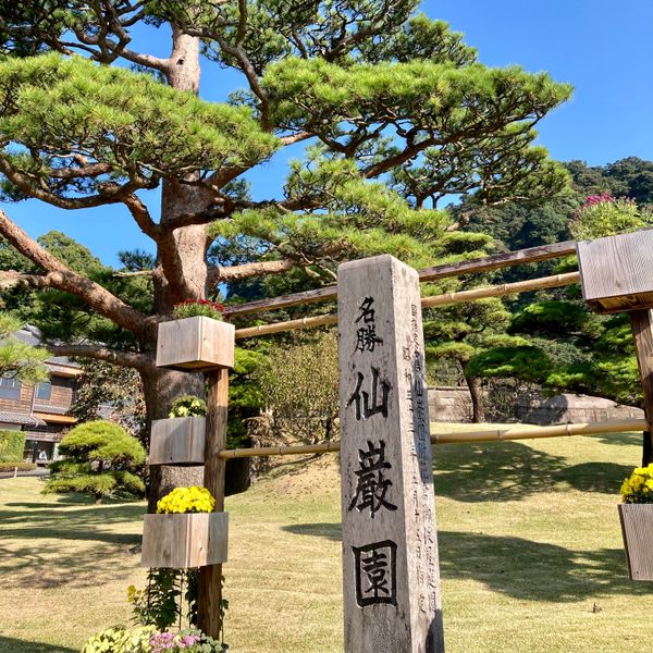 日本・沖縄県「本部港〜鹿児島フェリー旅」の写真