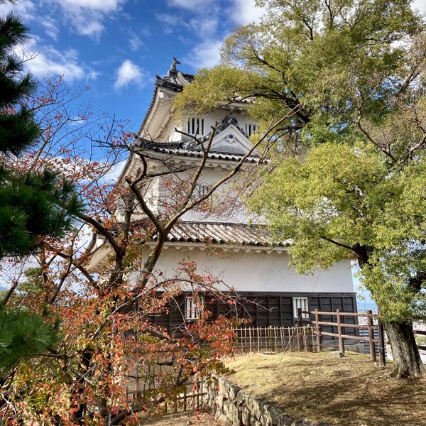 日本・香川県「善通寺市と丸亀市」の写真