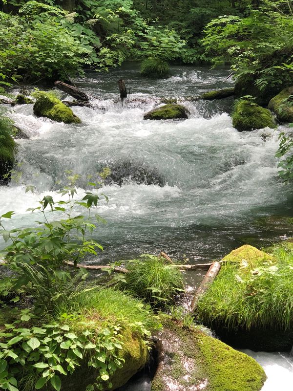 日本・青森県「青森旅行」の写真