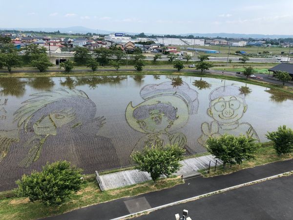 日本・青森県「青森旅行」の写真