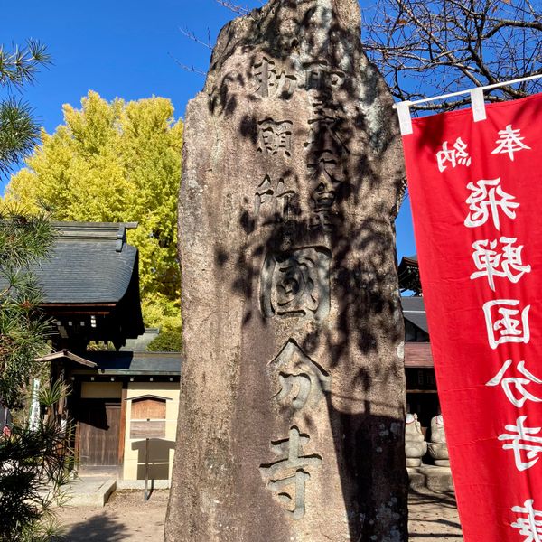 日本・岐阜県「高山市散策」の写真