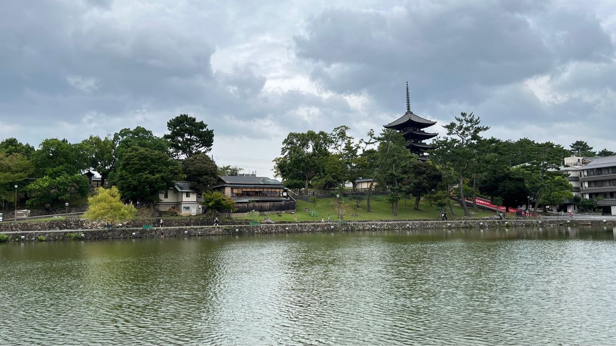 ならまち旬菜ひより
ここのランチを食べたくて奈良へ
美味しかった😊
ホテル...