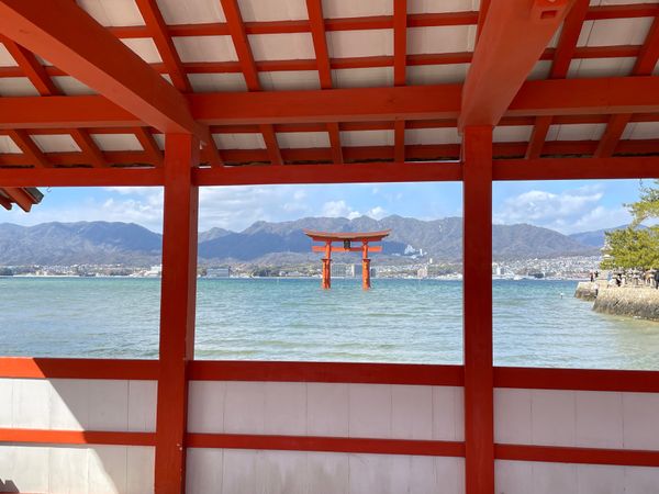 日本・宮島「2023/2/20-21 広島食い倒れ」の写真