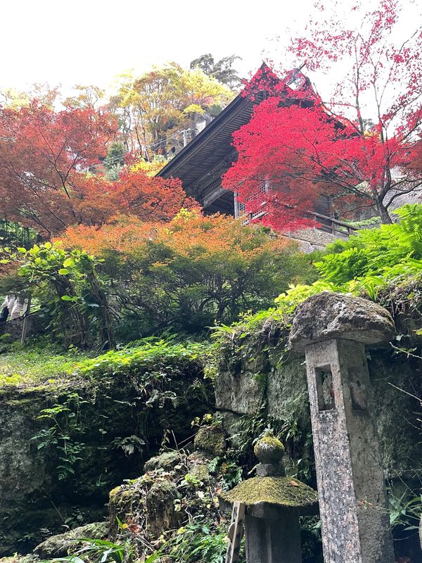 日本・山形県「2022/11/6-7 母娘旅to山形」の写真