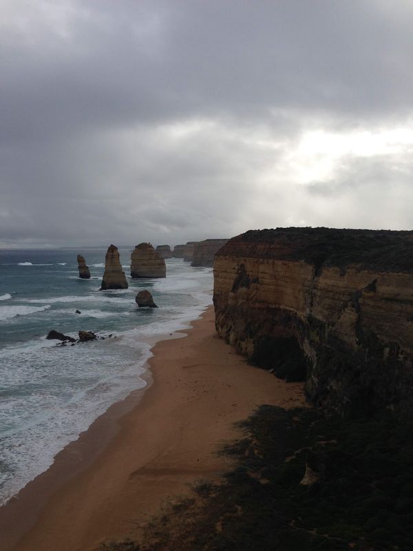 オーストラリア連邦・メルボルン「メルボルンwizみゆきん」の写真