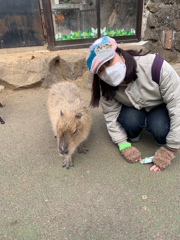 日本・静岡県「母を囲んでの旅」の写真：カワイイ❣️