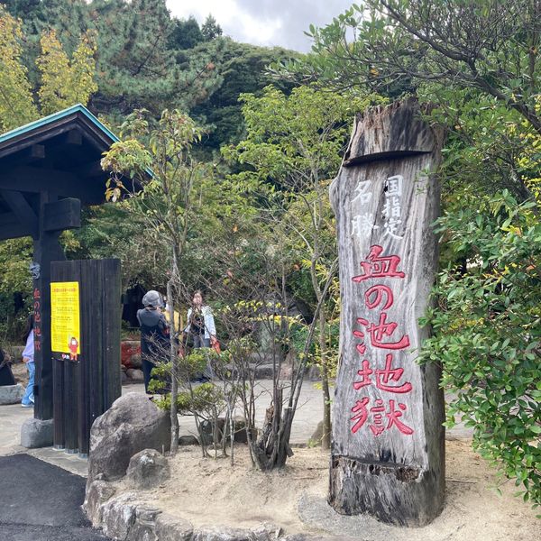 日本・大分県「大分県観光」の写真