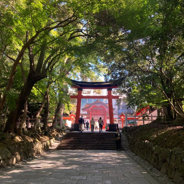 日本・大分県「大分県観光」の写真