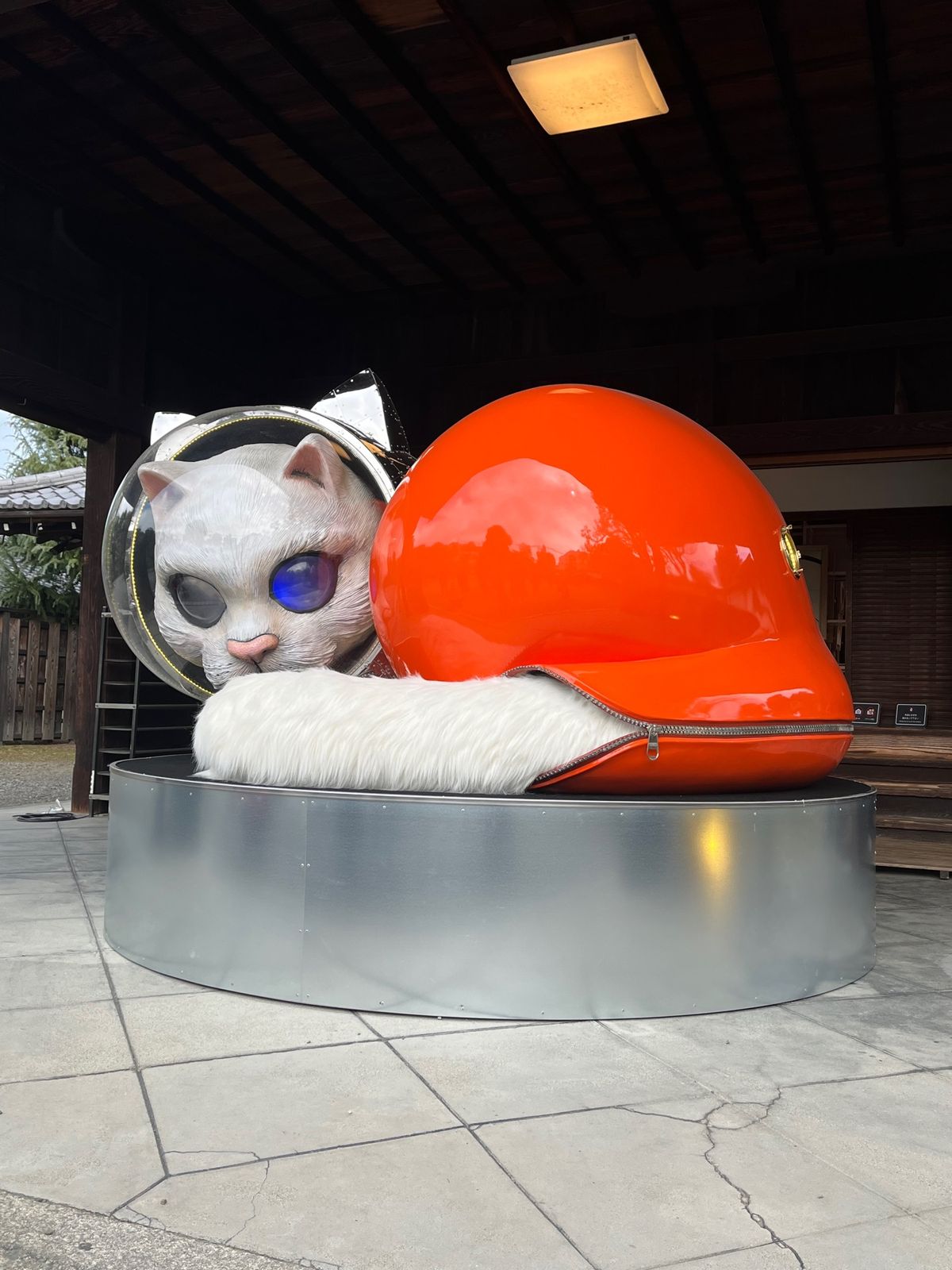 花子喋ってた♪
宇宙猫にも会えた✨