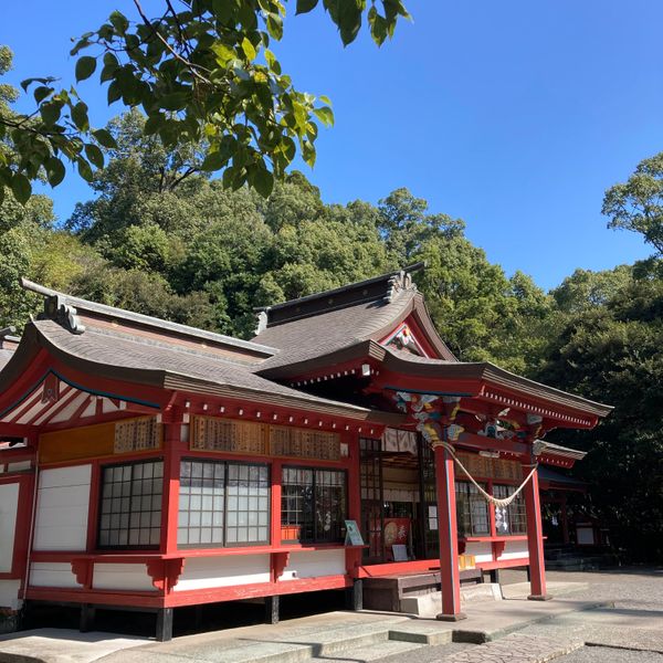 日本・鹿児島県「蒲生八幡神社参詣」の写真