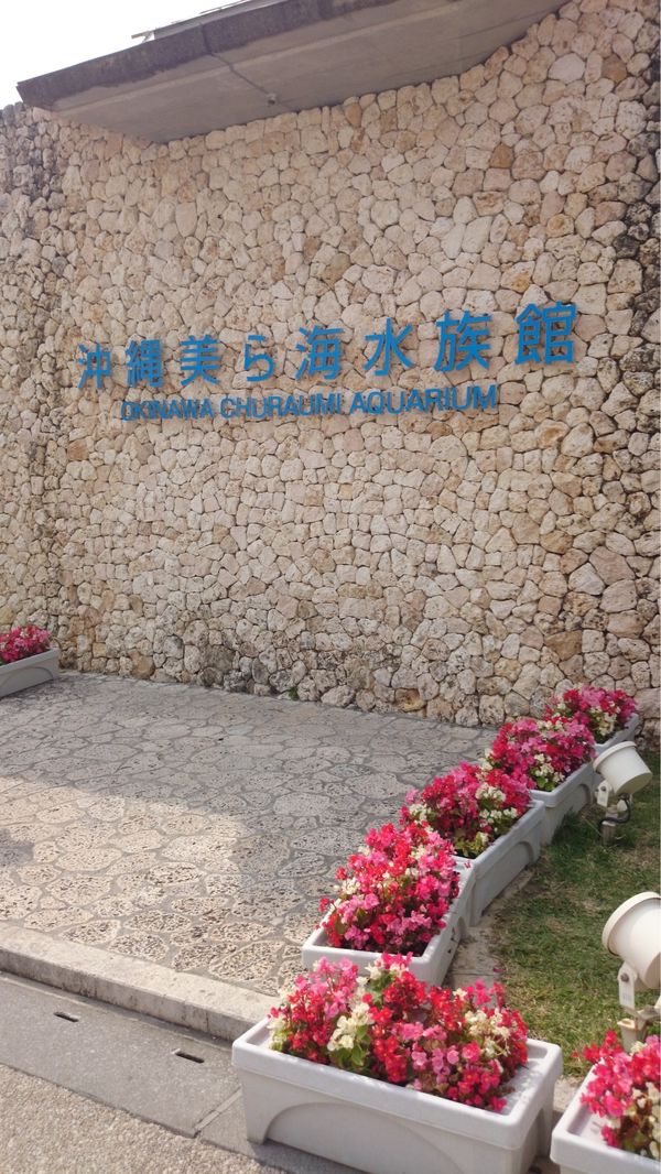 日本・沖縄県「沖縄」の写真