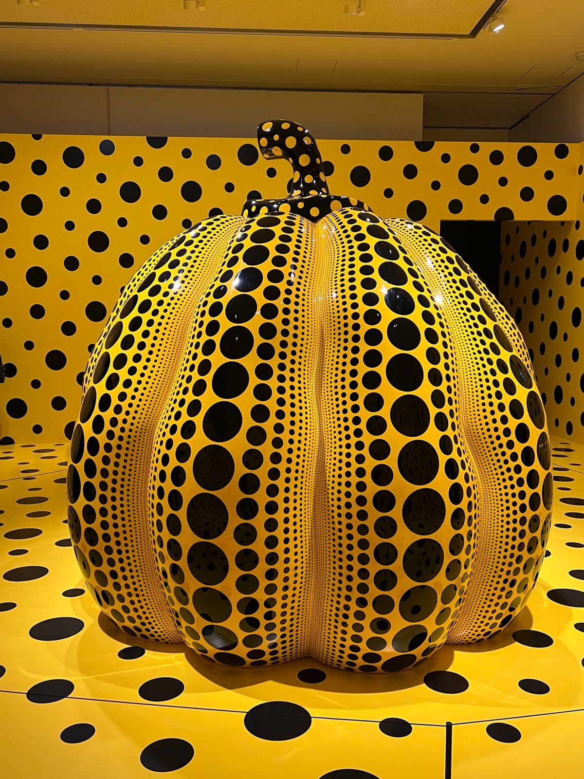 長野県松本市
松本市美術館

あまり時間がなかったので、草間彌生さんの常設...