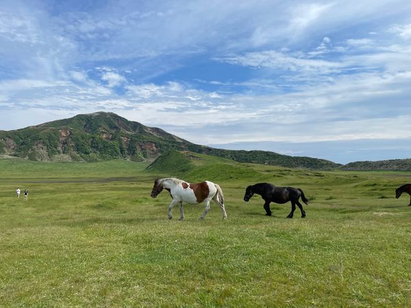 日本・草千里「阿蘇」の写真