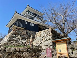 岐阜城、大垣城、浜松城、若き時代の徳川家康公銅像