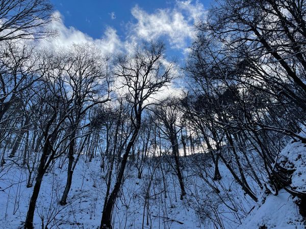 日本・軽井沢「軽井沢旅行」の写真：ホテルも素敵でした。