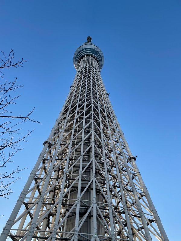 日本・東京都「東京」の写真