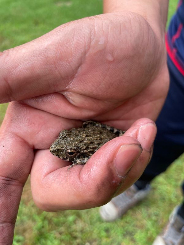 日本・滋賀県「デイキャンプ」の写真