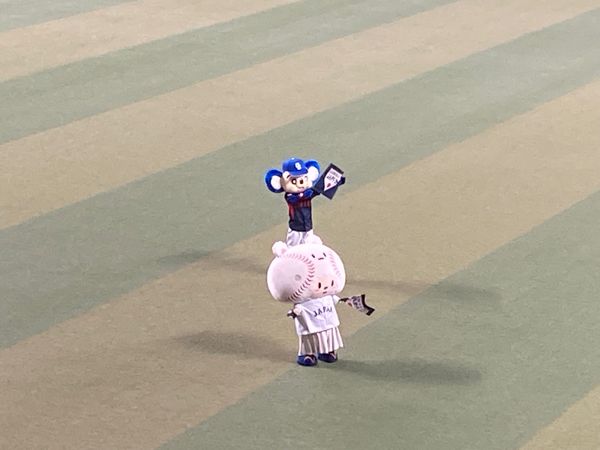 日本・愛知県「侍ジャパン　強化試合」の写真