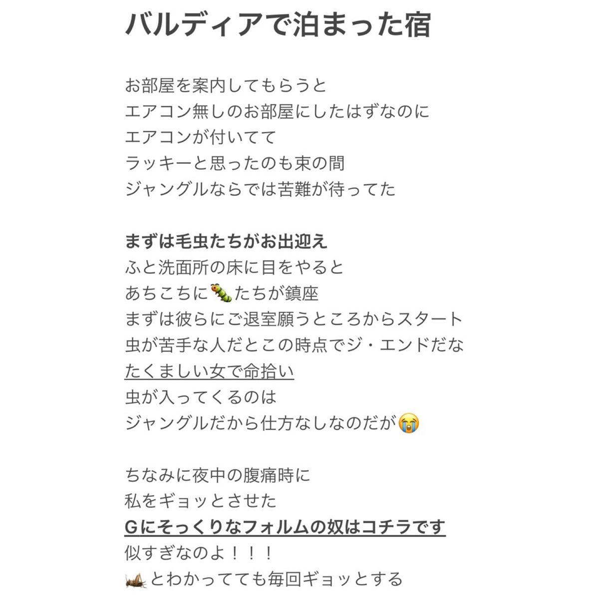 詳細は最後のページ