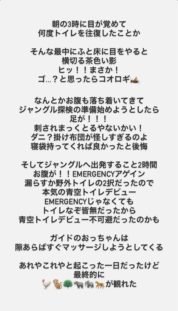 ネパール・カトマンズ「野生のベンガルタイガー🐅に会いたい！！」の写真