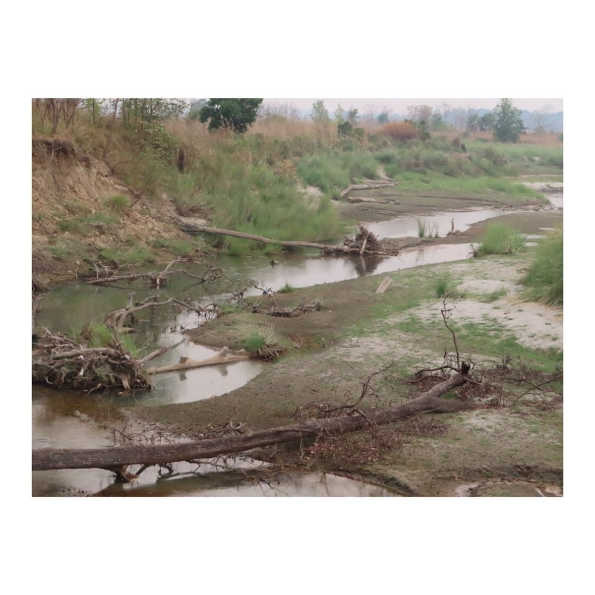 詳細は3〜4枚目