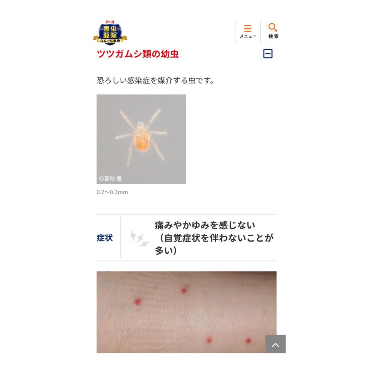 詳細は最後のページ