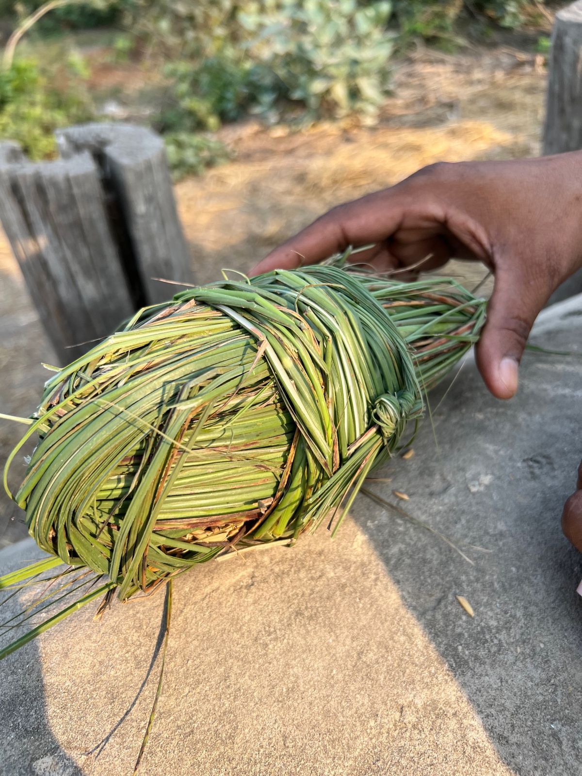 呼んでも🦏がなかなかやってこないので
お米を中に詰めたオヤツで誘き寄せ

...