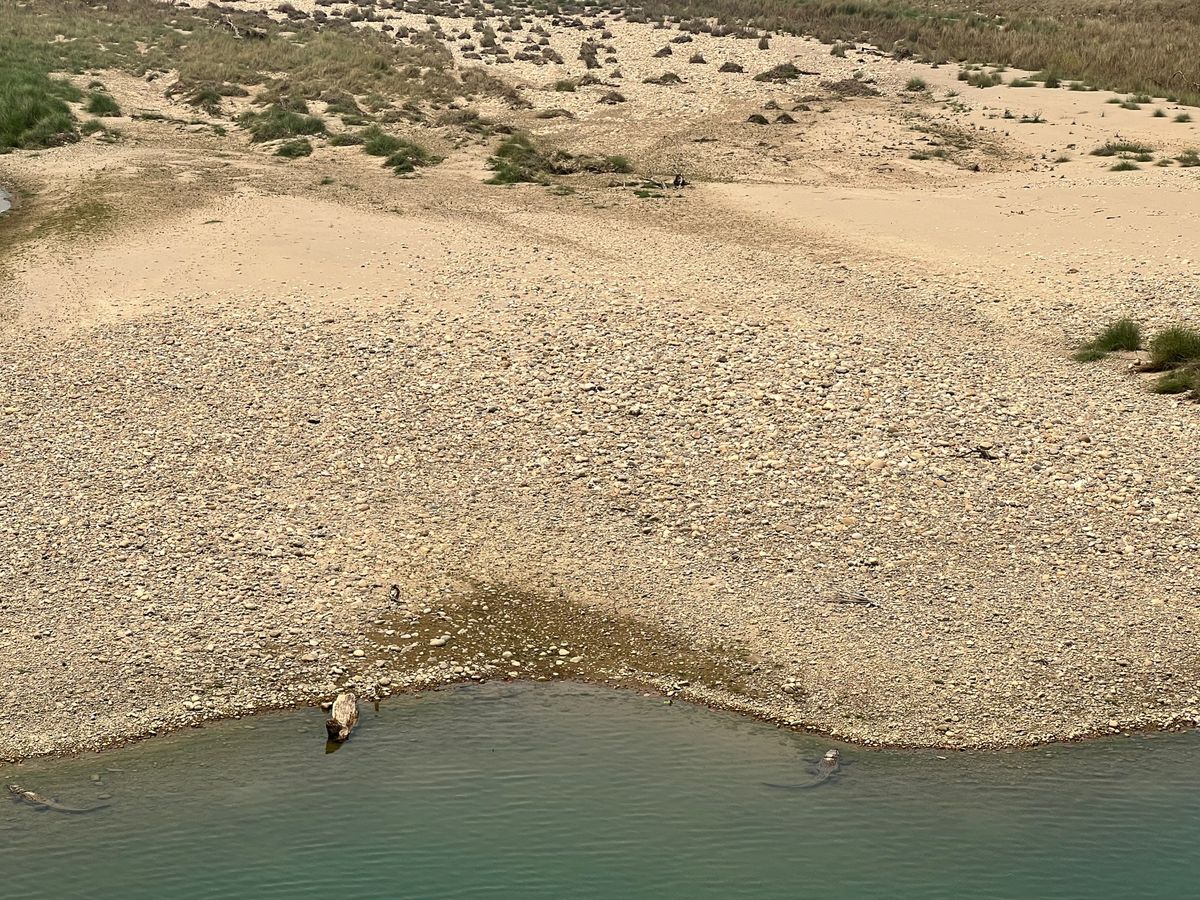 ネパールガンジからバルディアに向かってたら
ドライバーのお兄さんが
あ！あ...