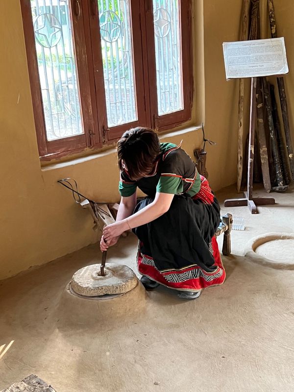 ネパール・カトマンズ「野生のベンガルタイガー🐅に会いたい！！」の写真：バルディア初日は半日しか時間もないので
...