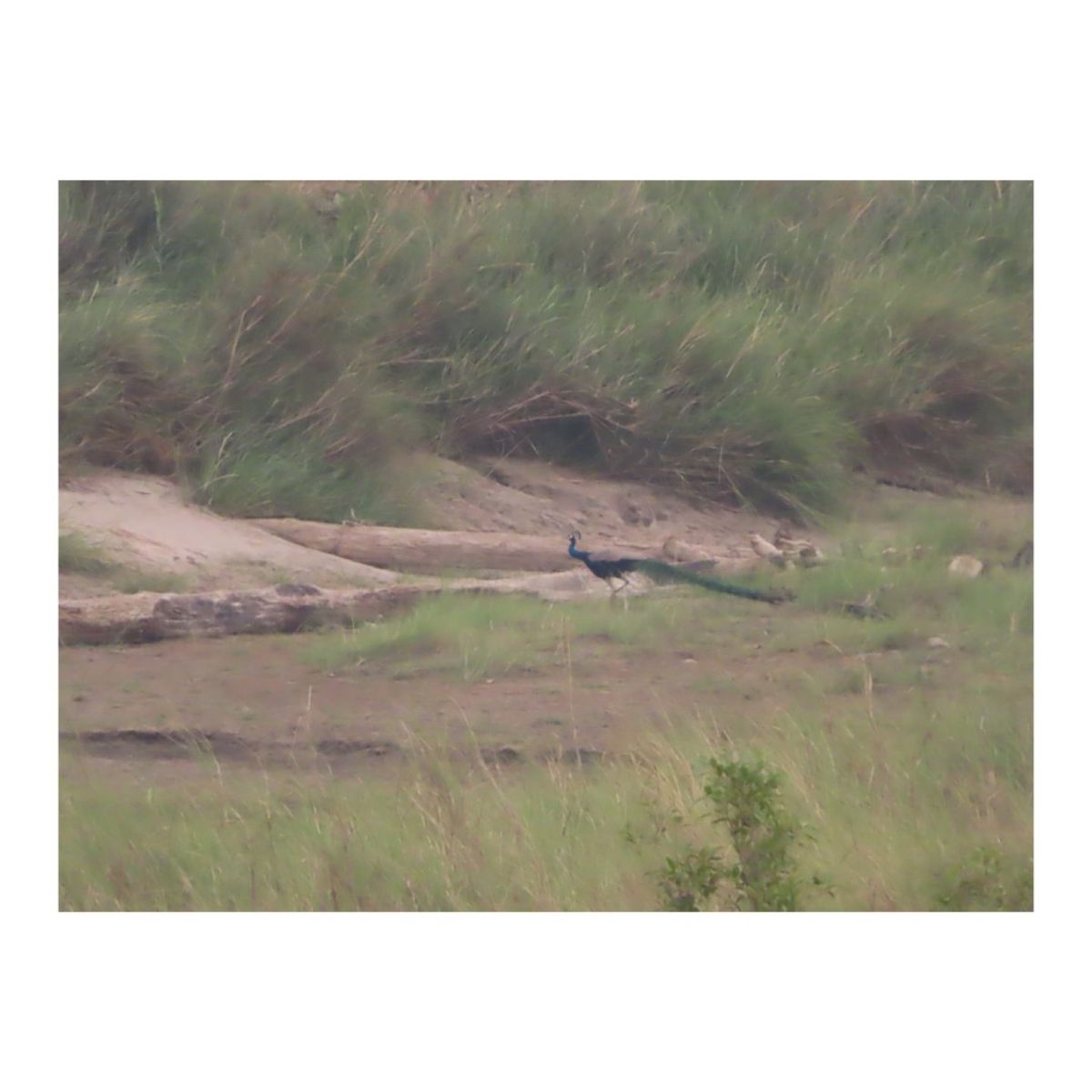 詳細は最後のページ