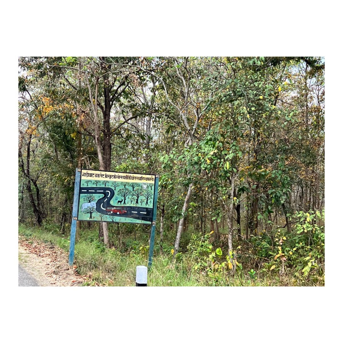 🐘が道路を渡るのを待ってるときの様子

看板は🐘が道を渡るときは譲りなさい...