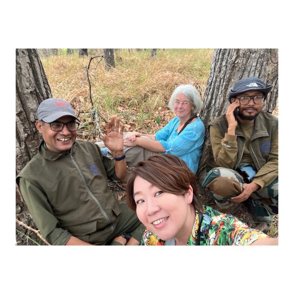 ネパール・カトマンズ「野生のベンガルタイガー🐅に会いたい！！」の写真：詳細は3〜4枚目