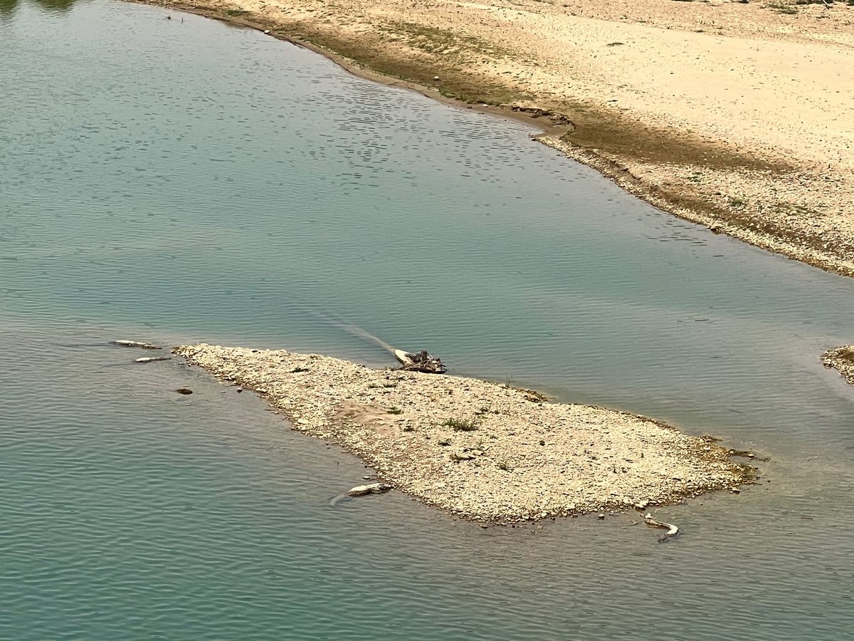 ネパールガンジからバルディアに向かってたら
ドライバーのお兄さんが
あ！あ...