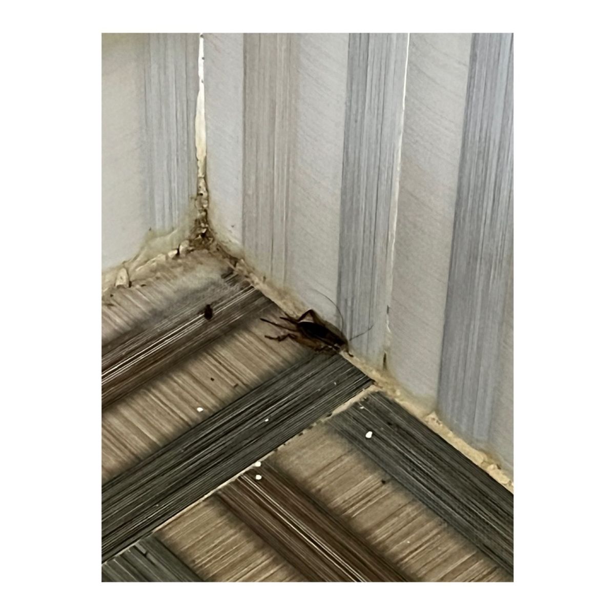 詳細は最後のページ