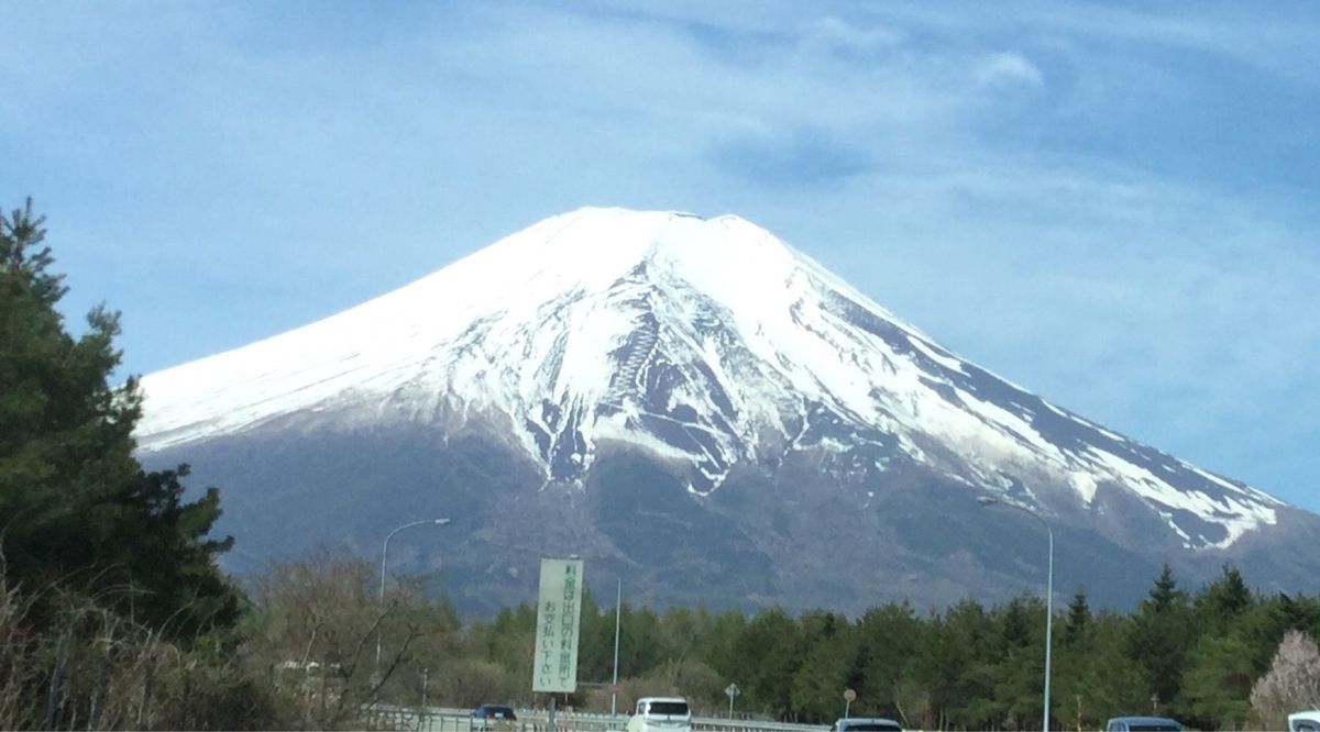 樹海は豊かな自然の美しい森です。ある意味、ここで眠りたくなるくらい素敵な場所。