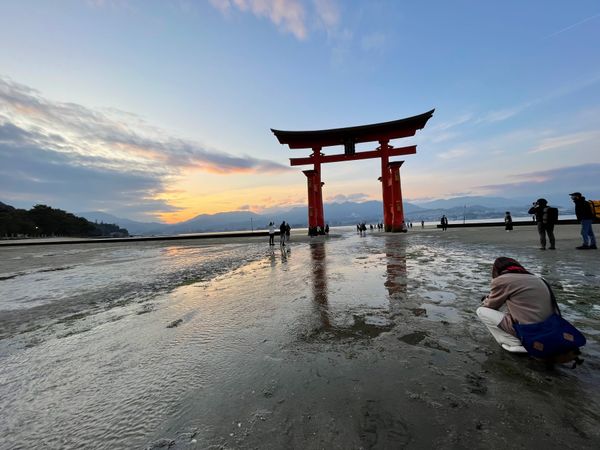 日本・宮島「冬の味覚を旅して🦪」の写真