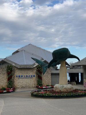 沖縄旅行2日目、美ら海水族館からスタートです🐟
大型水槽前の有料席で休憩。...